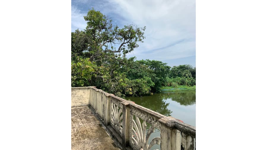 <p><em>View of lush green 'Gram Bangla' from the verandah of a room. (Picture by Amadpur Homestays)</em></p>