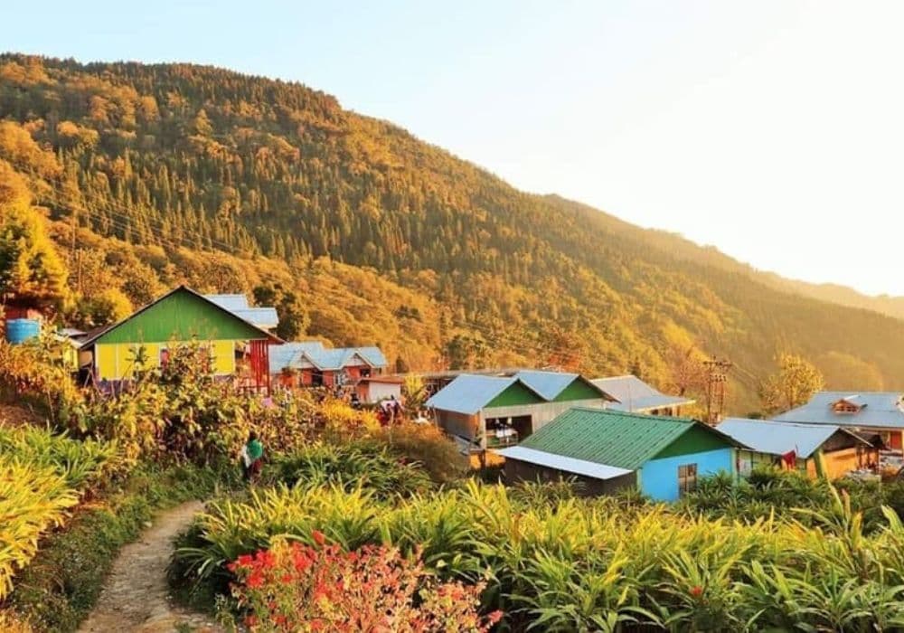 <p dir="ltr">&nbsp;Icche Gaon is surrounded by verdant forests. (Picture by Amartyabag, Wikimedia Commons)</p>