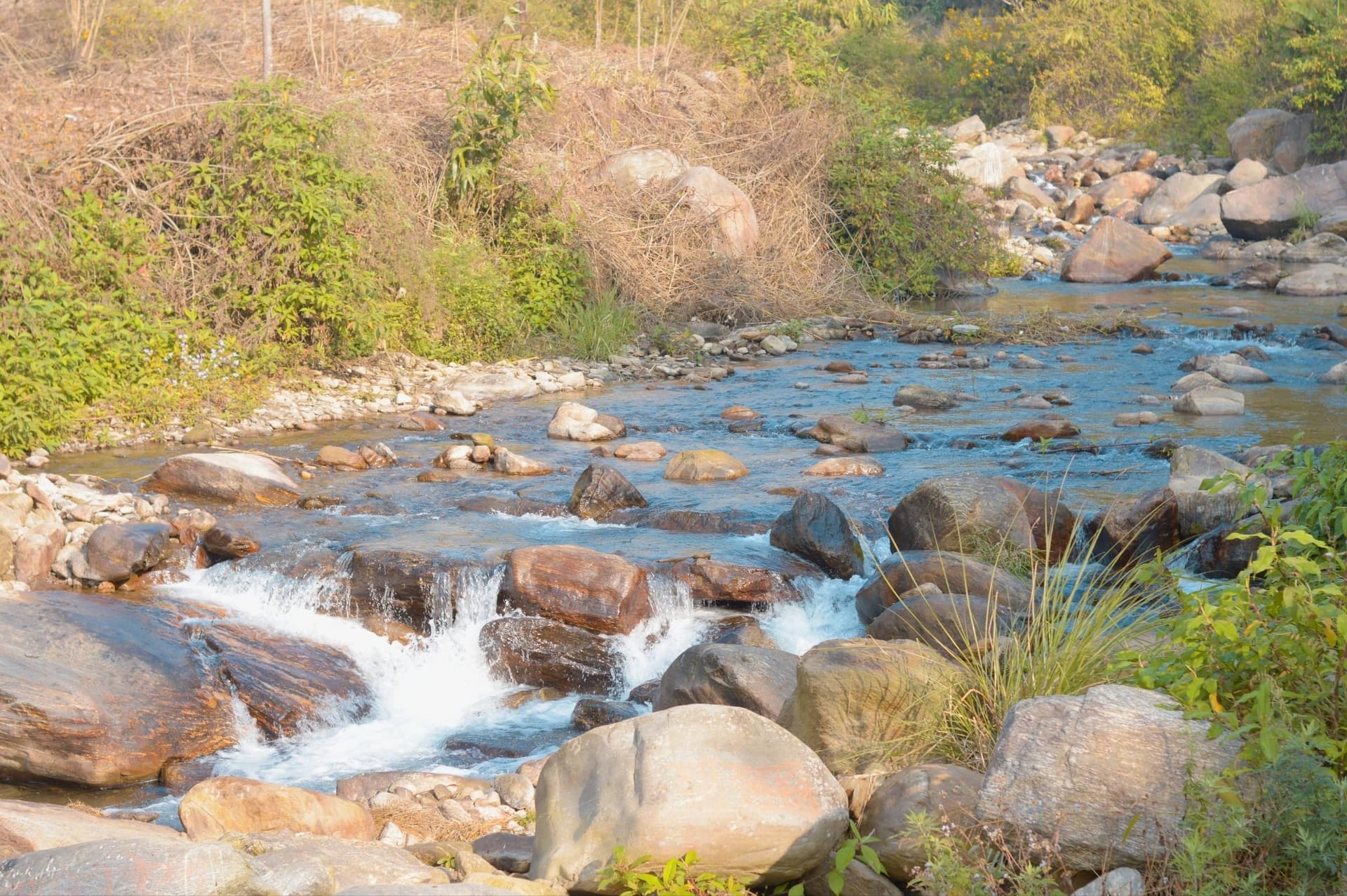 <p dir="ltr">The Rangbang river flows through Tabakoshi. (Shutterstock)</p>