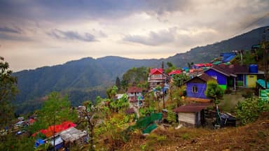 Mountain getaways around Darjeeling 