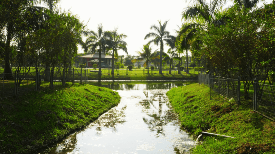 <p>The Rainforest is a lush green escape from the city's hustle and bustle.&nbsp;</p>
