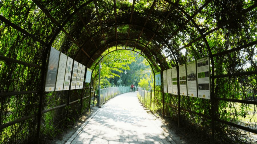 <p>A canopied archway welcomes visitors to the Butterfly Garden. (All pictures by Krishnungshu Gangopadhyay)</p>