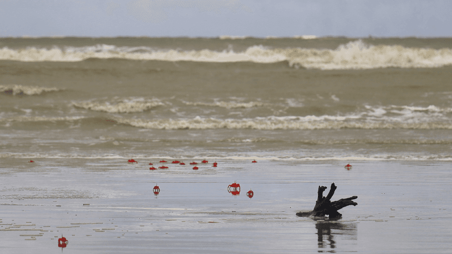 <p>Red crabs on the march bring Baguran Jalpai's quiet beach to life.</p>