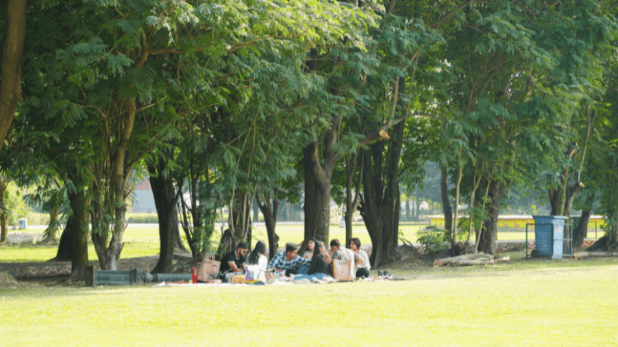 <p>Visitors spread out blankets and enjoy leisurely picnics across Eco Park's lush, open grounds.</p>