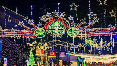 A tour of Kolkata's winter wonderland 