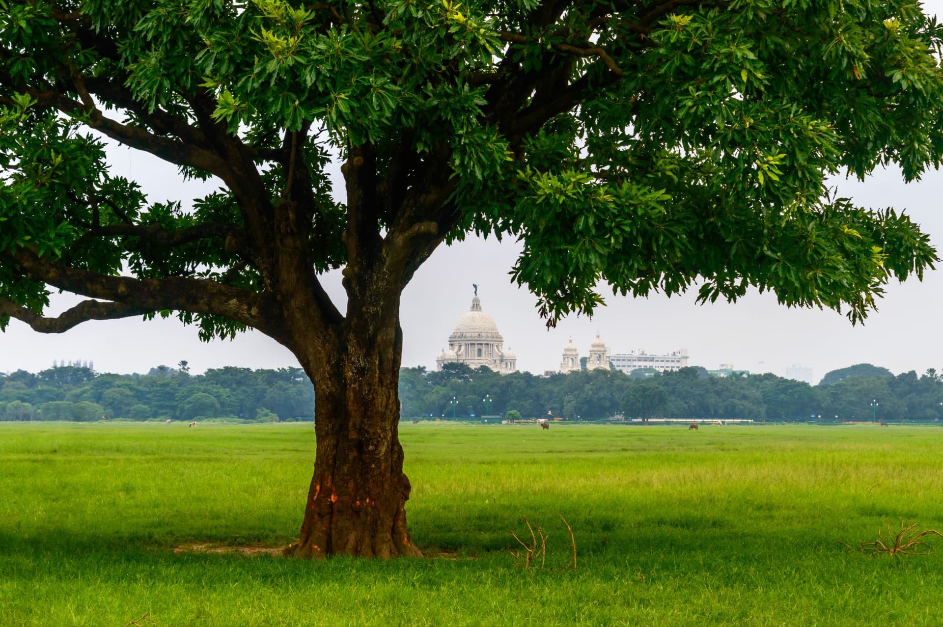 <p>Maidan’s greens make the perfect sun-soaked spot for lazy picnics on wintry afternoons.</p>