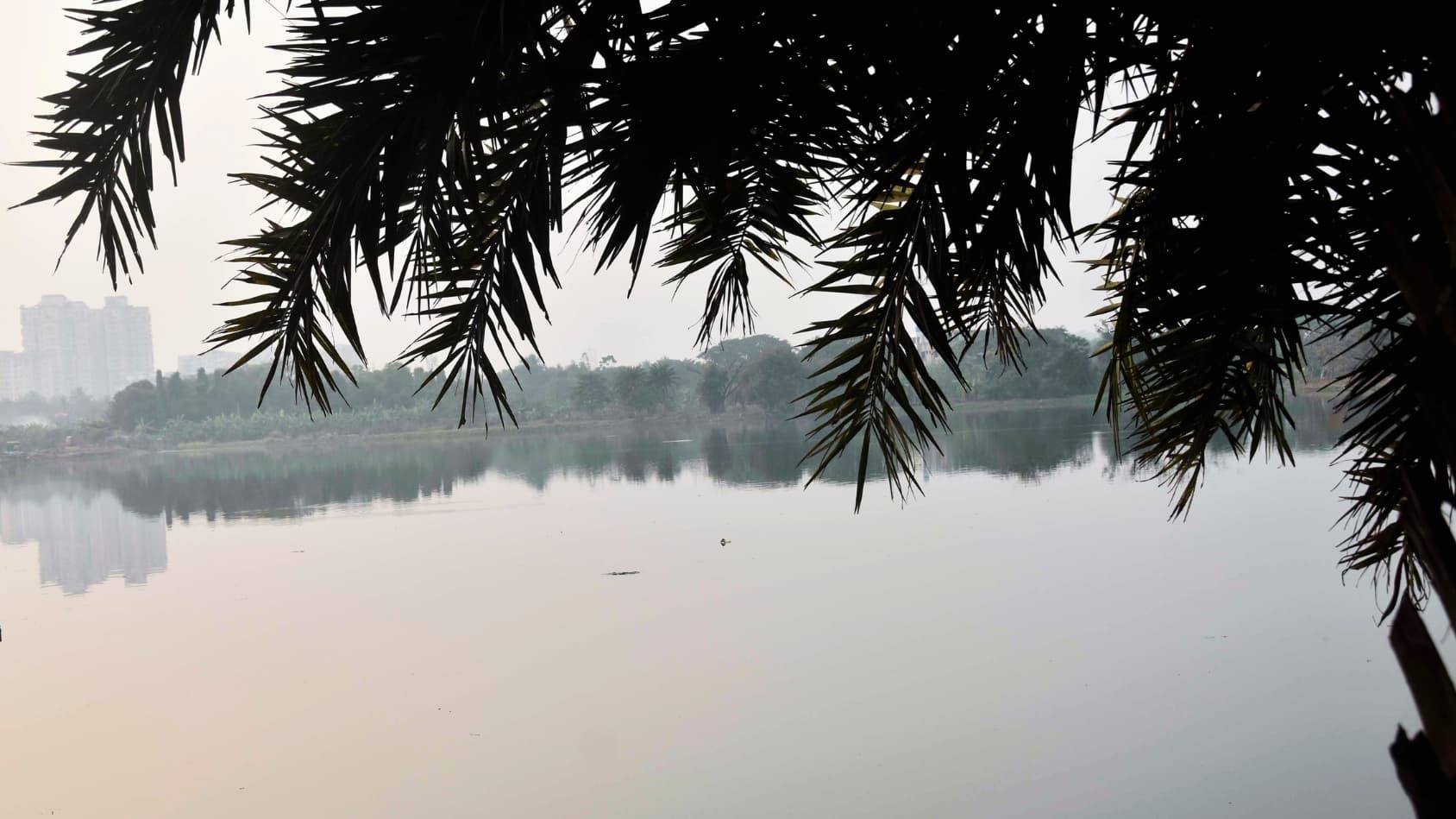 <p>The Village's serene waters reflect the sky and greenery, adding to the sense of expansive openness.&nbsp;</p>