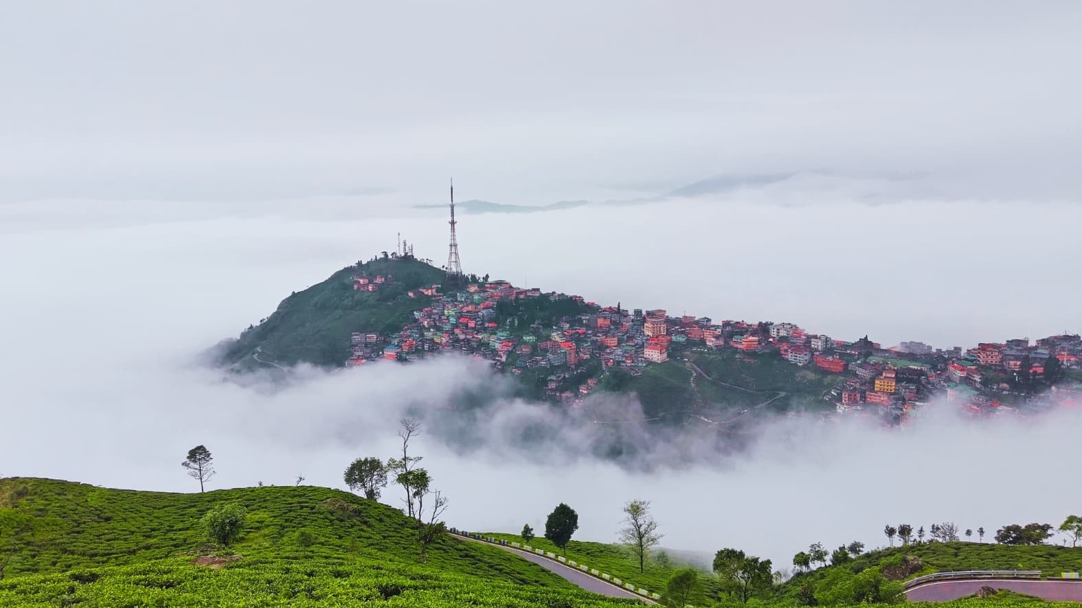 <p>A popular lookout offering wide views of tea gardens and the valley below. (Shutterstock)</p>