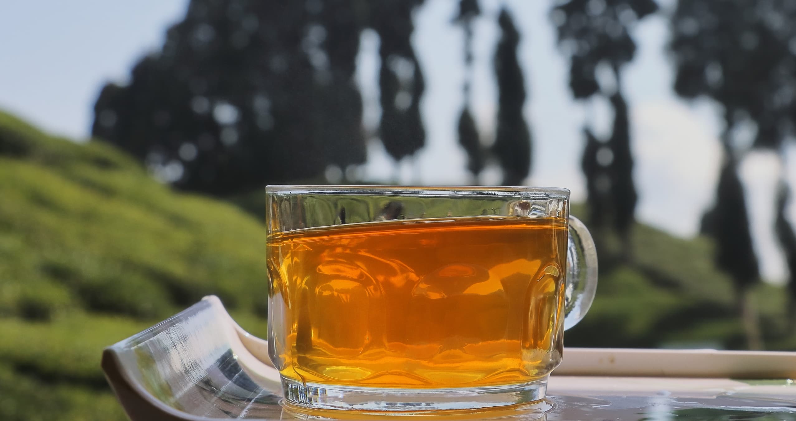 The story of Darjeeling tea