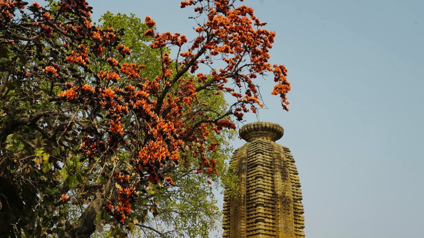 <p>The Deul of Banda</p>