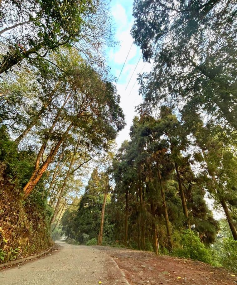 <p>The path leading to the Silent Valley is as picturesque as the destination itself. (Picture by Ronald Tamang)&nbsp;</p>