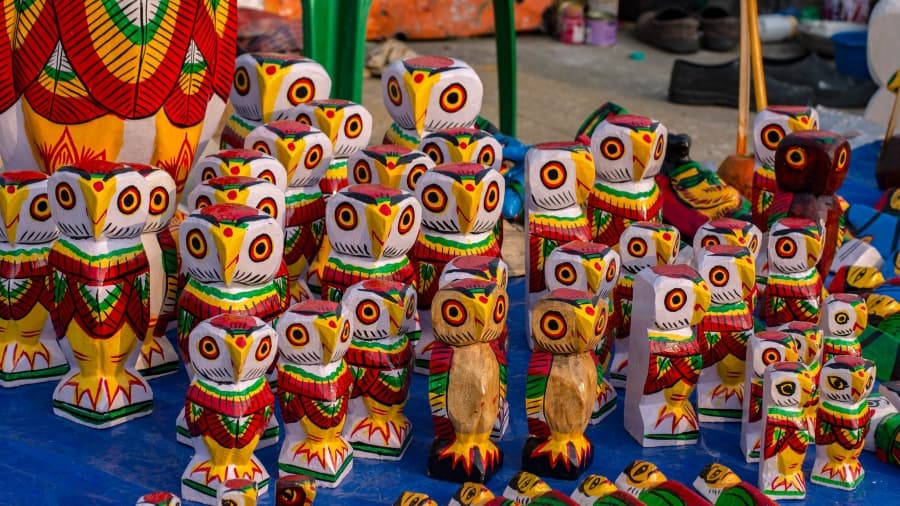 <p>The Natungram owl&nbsp;</p>